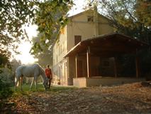 La Casa Sull’albero