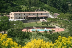Il Daino