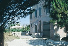 Fata