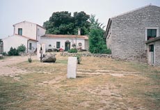 Testone