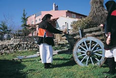 Costiolu