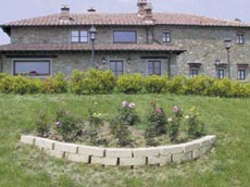 Castagneto Picci