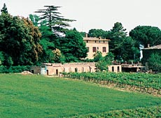 Fattoria Di Corsano