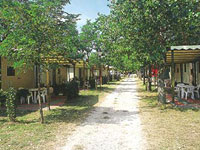 Camping Panorama