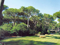 Camping Village Cieloverde