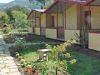 Camping Pini e Mare