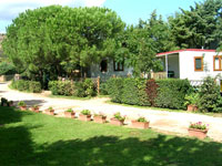 Camping Tavolara