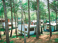 Camping Li Nibari