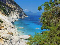 Camping Le Cernie