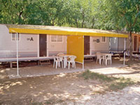 Camping Waikiki
