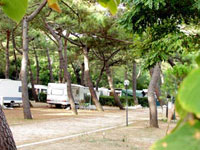 Camping Il Capannino