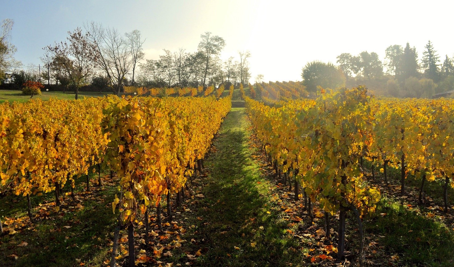 5 buoni motivi per mangiare in agriturismo