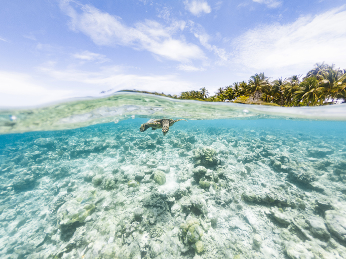 Gli atolli più belli delle Maldive sono loro!