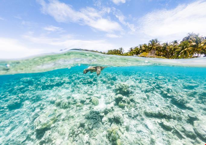 Gli atolli più belli delle Maldive sono loro!