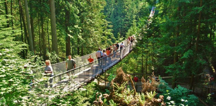 Ponti Mozzafiato Dove Sembra Di Camminare Sospesi Nel Vuoto