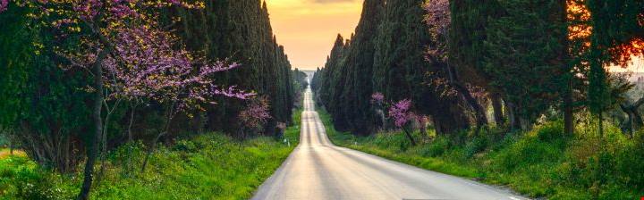 Cipressi In Italia ci sono dei luoghi belli da sembrare finti