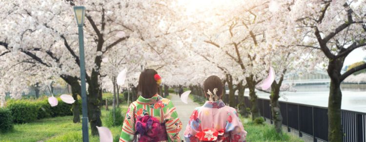 A Osaka, passeggiando nel quartiere delle geishe