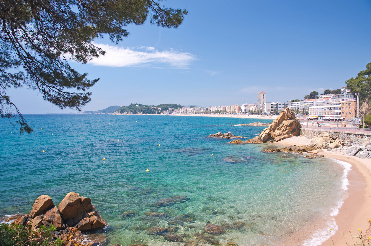 Lloret_3