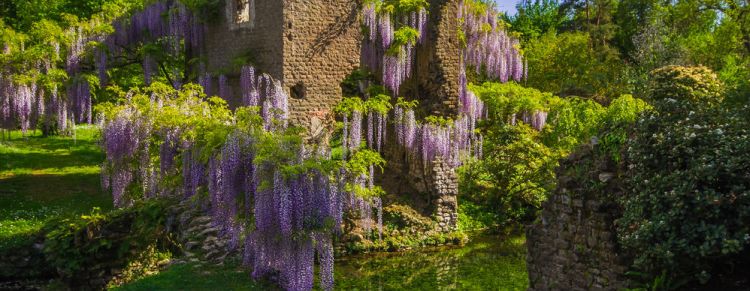 L'Italia dei giardini romantici. Un viaggio nella 'Penisola Verde'
