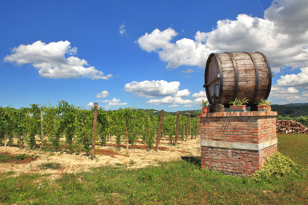 L'Italia dei vini premiati, tra gusto ed eccellenze