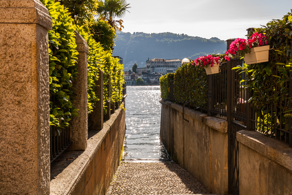 Orta_1