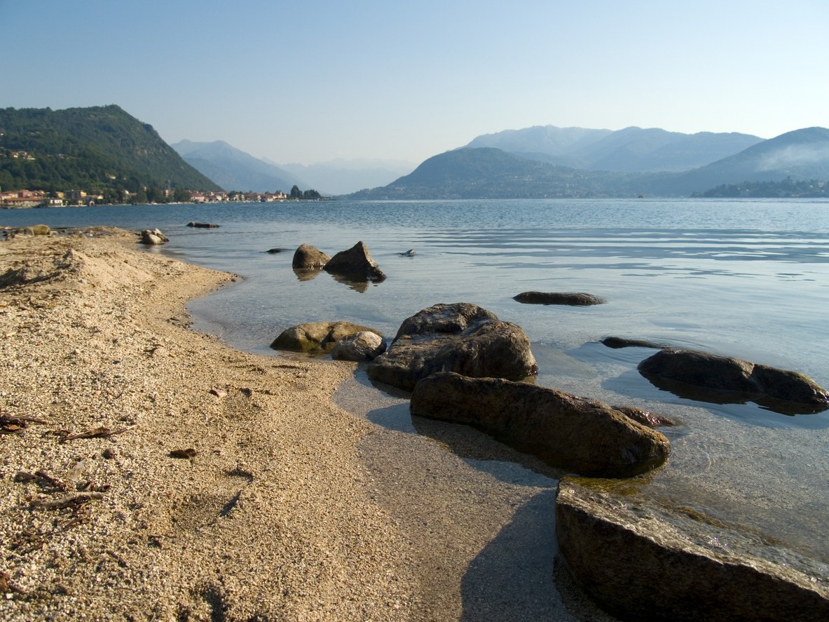 Orta_6