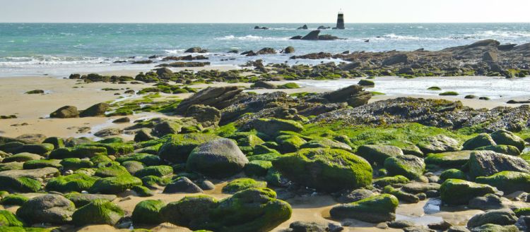 Le isole dalle forme più particolari del mondo