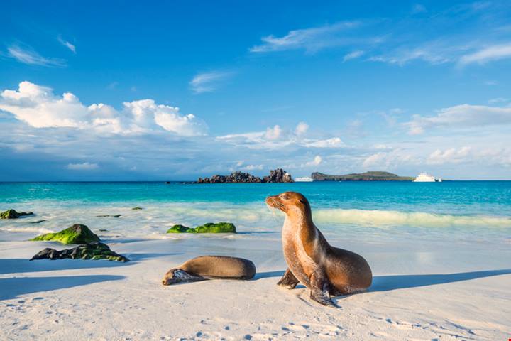 Galapagos: quando andare alle isole di Colombo