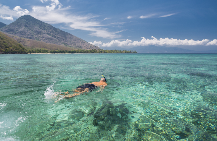Vuoi visitare Komodo? Da oggi dovrai pagare 1000 dollari!