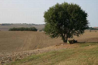 Agriturismo Il Campetto