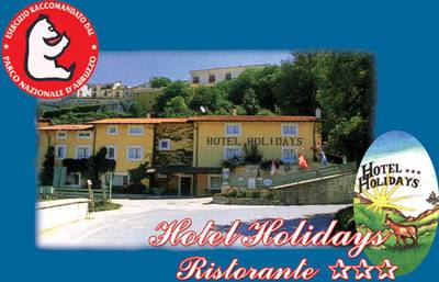Hotel Holidays