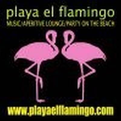 Playa el Flamingo