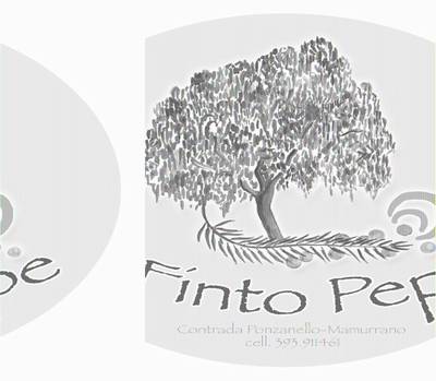 IL FINTO PEPE Bed and Breakfast