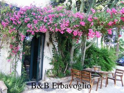 Erbavoglio Siracusa