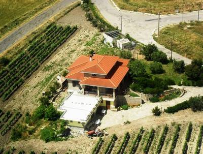 Le Vigne Ducali
