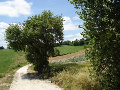Agriturismo La Quercia del Saggio