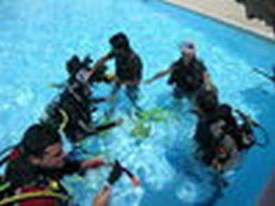 DIVING ROSA DEI VENTI