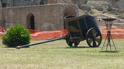 Visita al Parco archeologico-botanico delle Terme Taurine