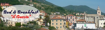 il Guscio