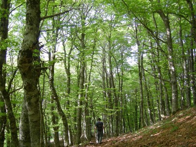Capodanno nelle Foreste Casentinesi