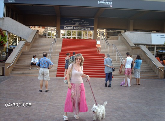 Photo cannes davanti al palais du cinema in Cannes - Pictures and Images of Cannes 