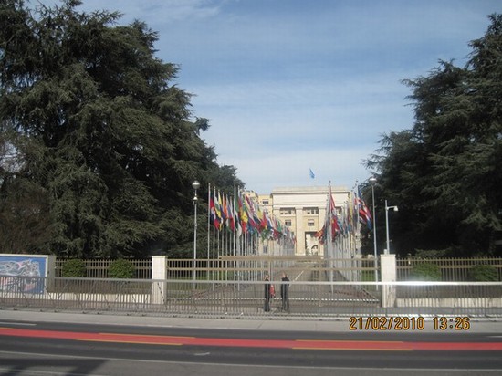 Photo ginevra ginevra in Geneva - Pictures and Images of Geneva 