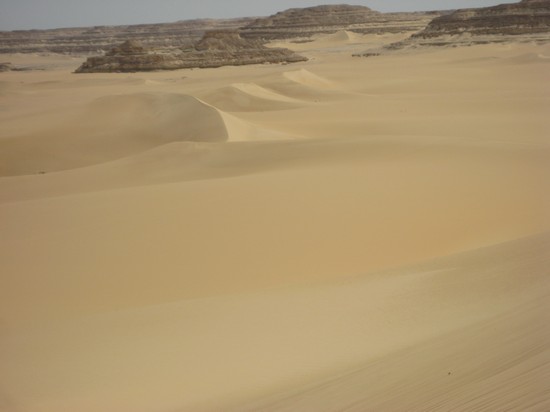 Photo oasi di siwa il deserto il cairo in Cairo - Pictures and Images of Cairo 