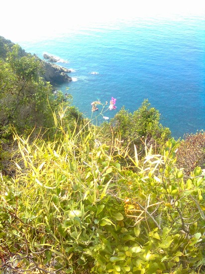 Photo vernazza vernazza in Vernazza - Pictures and Images of Vernazza 