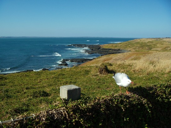 Apartamentos y hoteles viaggio