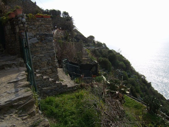 Photo vernazza vernazza in Vernazza - Pictures and Images of Vernazza 