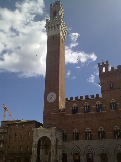 Photo piazza siena in Siena - Pictures and Images of Siena 