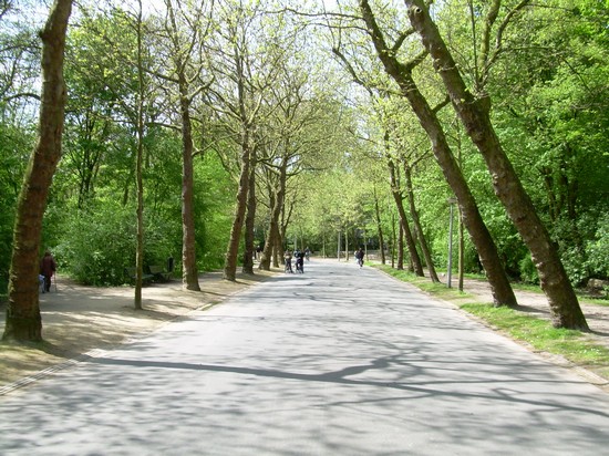Photo amsterdam amsterdam in Amsterdam - Pictures and Images of Amsterdam 