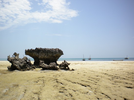 Photo isola di qwale zanzibar in Zanzibar - Pictures and Images of Zanzibar 