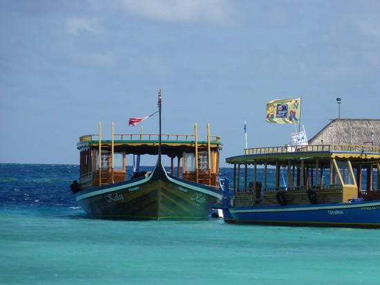 Photo dhoni atollo di ari in Ari Atoll - Pictures and Images of Ari Atoll 